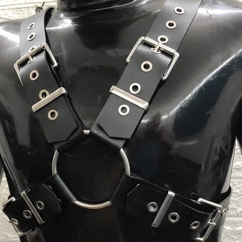 Black X Harness