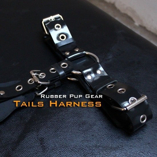 Locking Rubber Butt Plug Harness (2)
