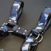 Neoprene H Harness (Custom Color)