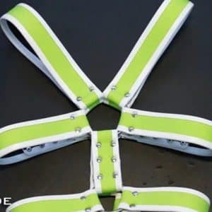 Neoprene Y Harness