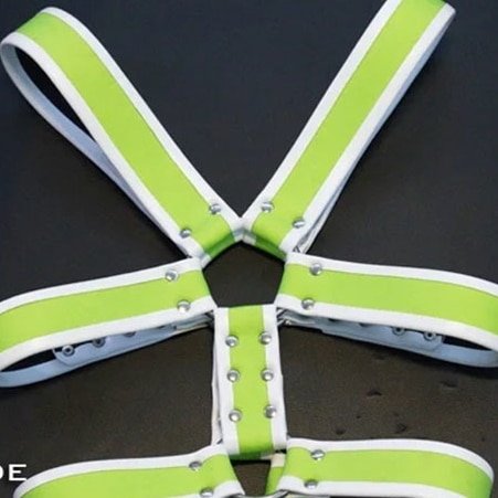 Neoprene Y Harness