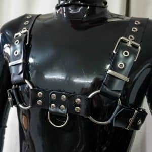 Rubber H Harness