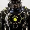 Rubber Puppy H-Harness -St001