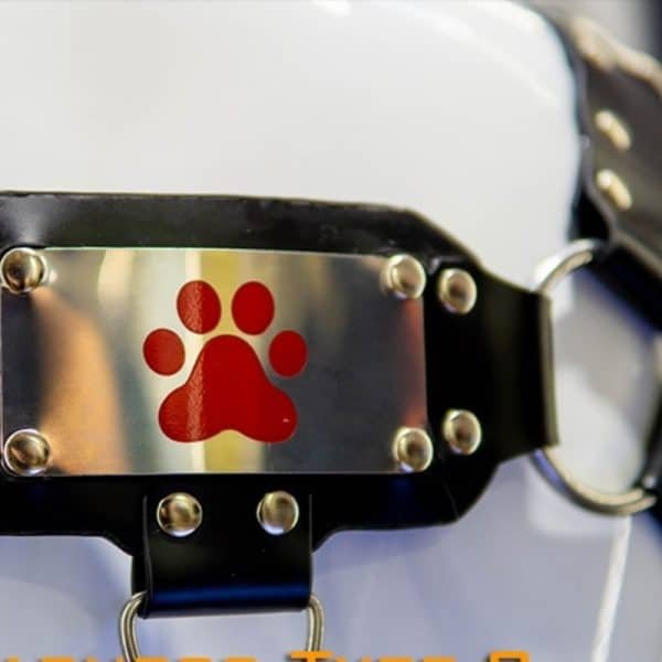 Rubber Puppy H-Harness -St003