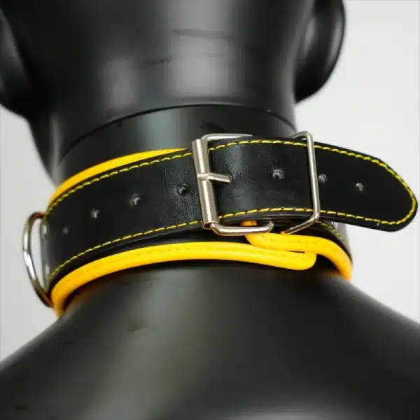 Harness Set