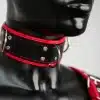 Harness Set