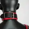 Harness Set