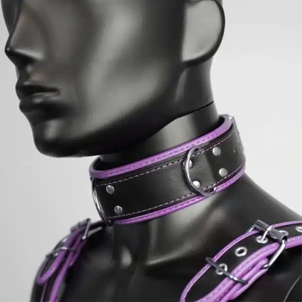 Harness Set