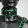 Harness Set