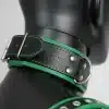 Harness Set