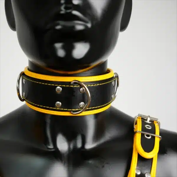 Harness Set