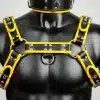 Harness Set