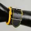 Harness Set