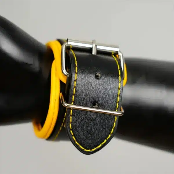 Harness Set