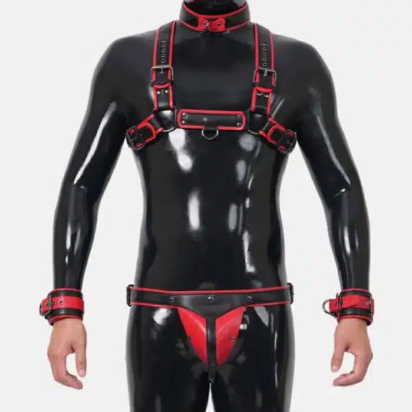 Harness Set With Crotch