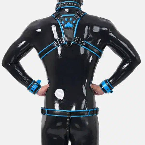 Harness Set With Crotch