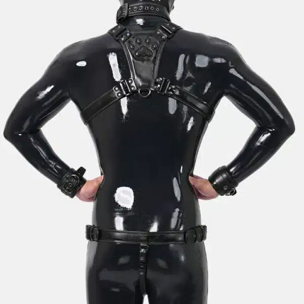 Harness Set With Crotch