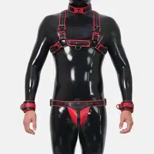 Harness Set With Crotch