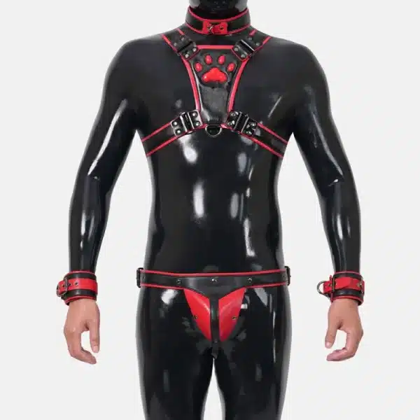 Harness Set With Crotch