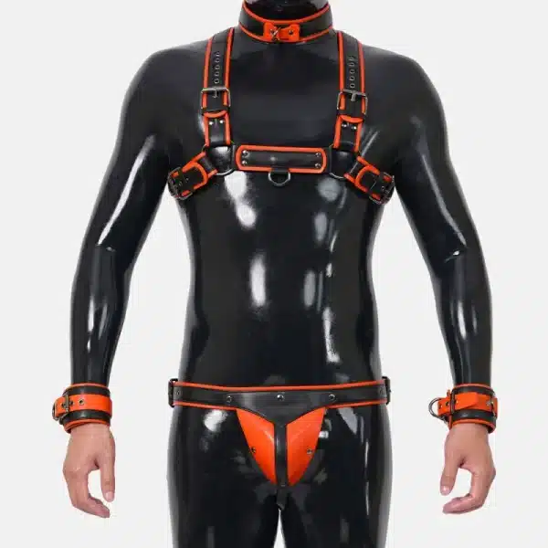 Harness Set With Crotch