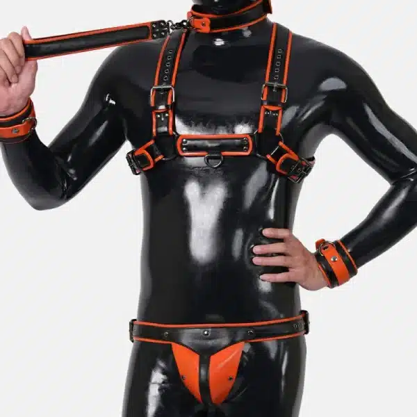 Harness Set With Crotch