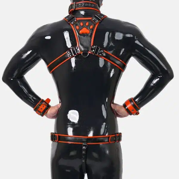 Harness Set With Crotch