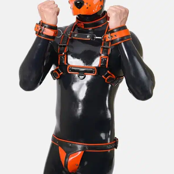 Harness Set With Crotch