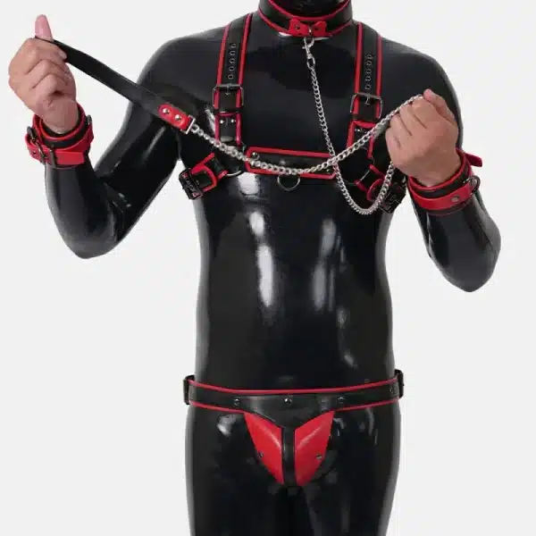 Harness Set With Crotch
