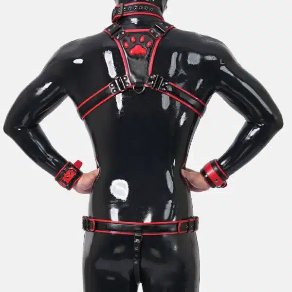 Harness Set With Crotch
