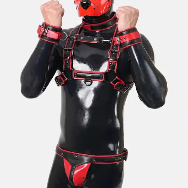 Harness Set With Crotch