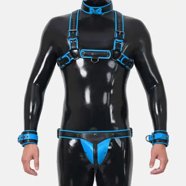 Harness Set With Crotch
