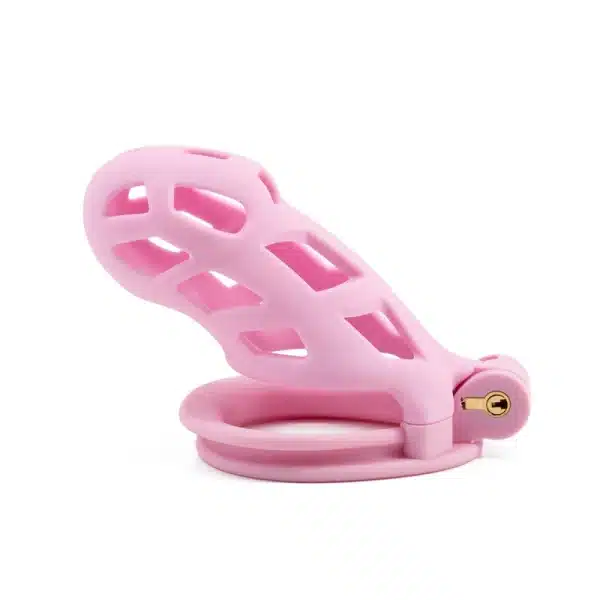 Hollowed-Out Chastity Cage-Pink