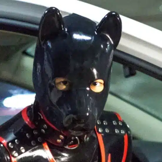 LATEX Puppy Hood-ST001 (7)