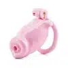 Pink Dog Chastity Cage