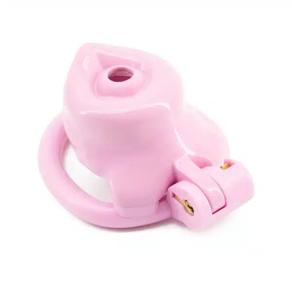 Pink Dog Chastity Cage