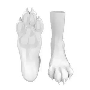 Silicone White Canine Feet (3)